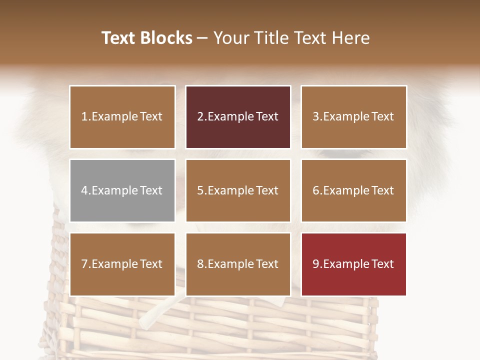 Domestic Handmade Fluffy PowerPoint Template