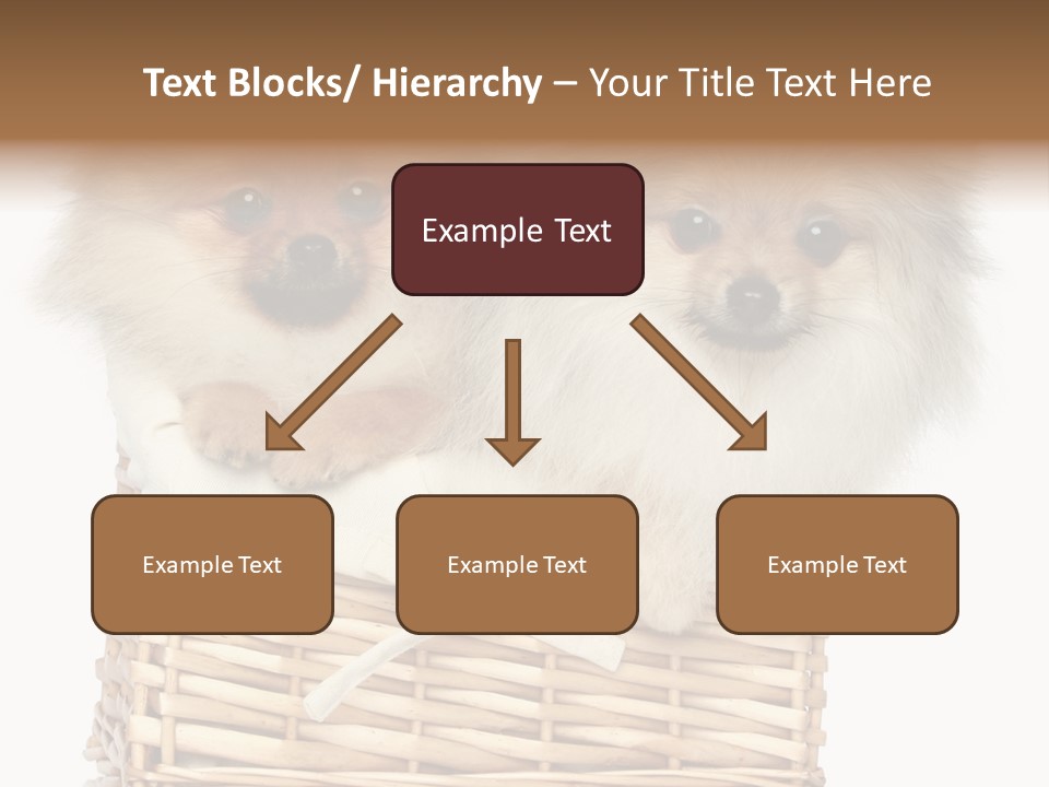 Domestic Handmade Fluffy PowerPoint Template