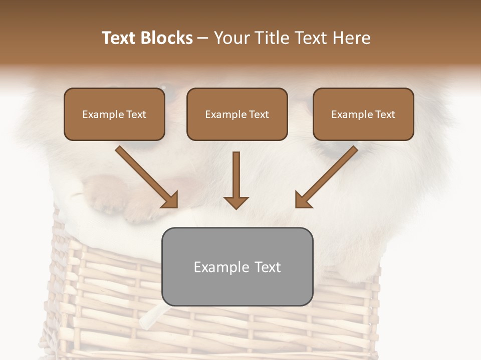 Domestic Handmade Fluffy PowerPoint Template