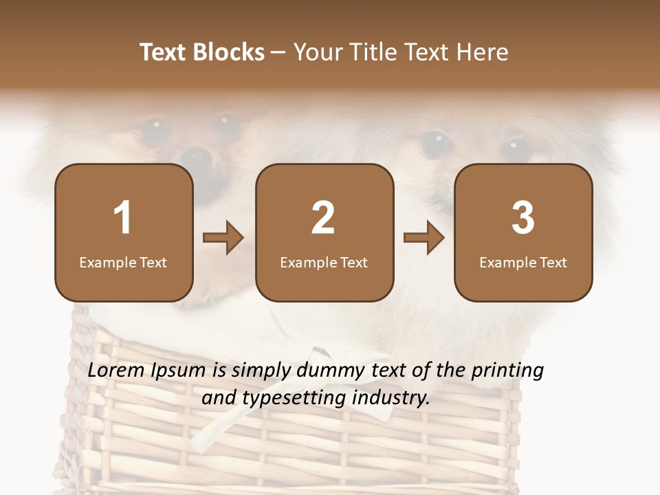 Domestic Handmade Fluffy PowerPoint Template