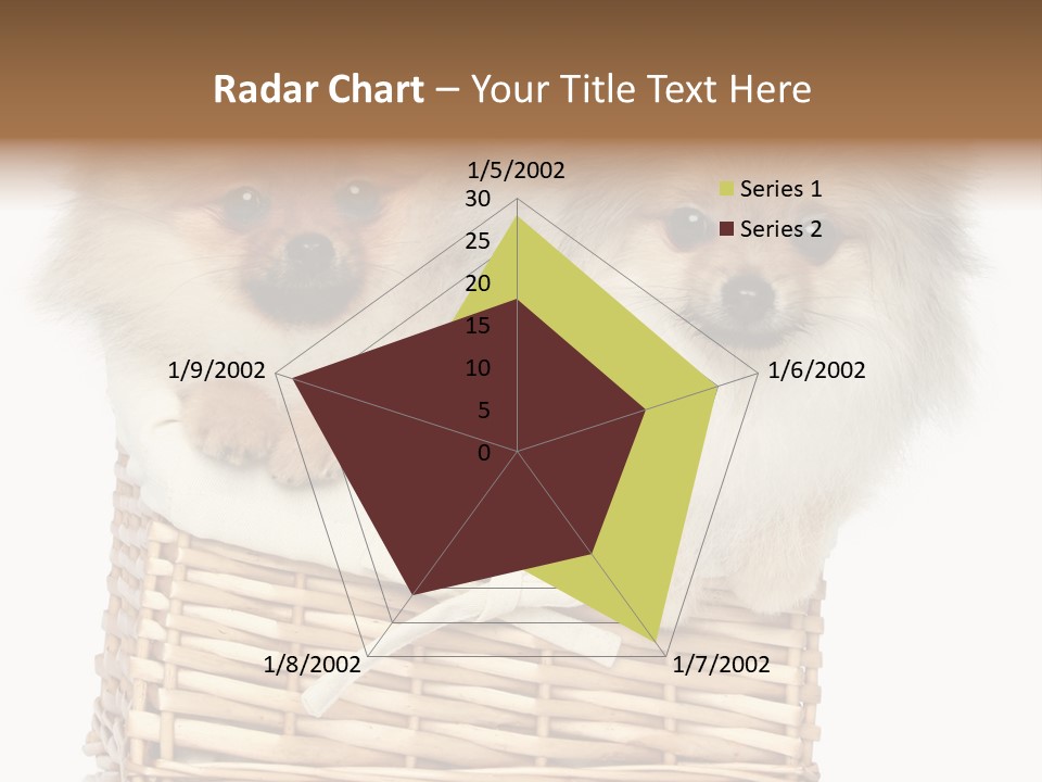 Domestic Handmade Fluffy PowerPoint Template