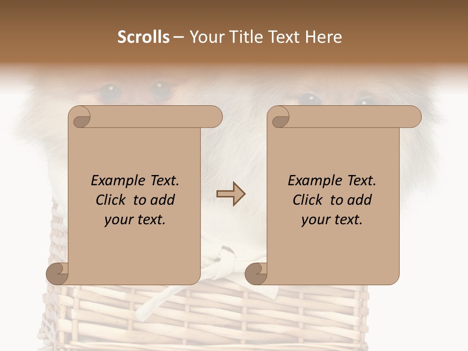 Domestic Handmade Fluffy PowerPoint Template