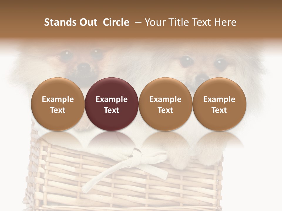 Domestic Handmade Fluffy PowerPoint Template