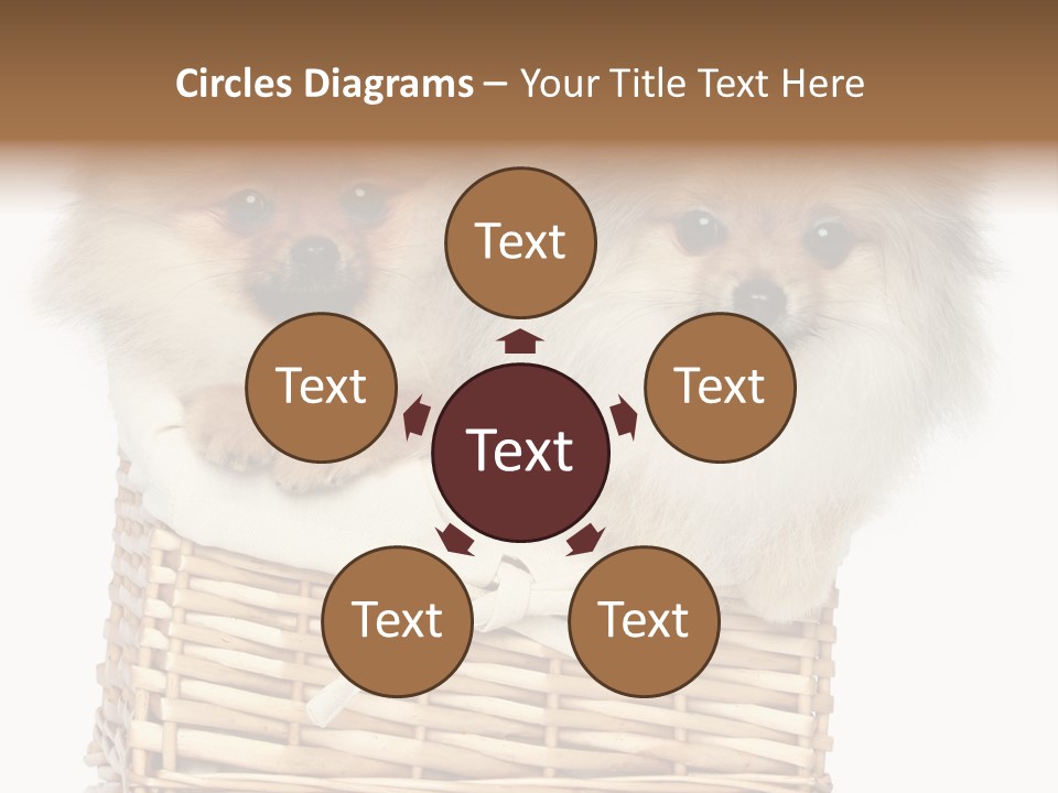 Domestic Handmade Fluffy PowerPoint Template