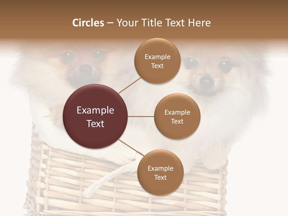 Domestic Handmade Fluffy PowerPoint Template