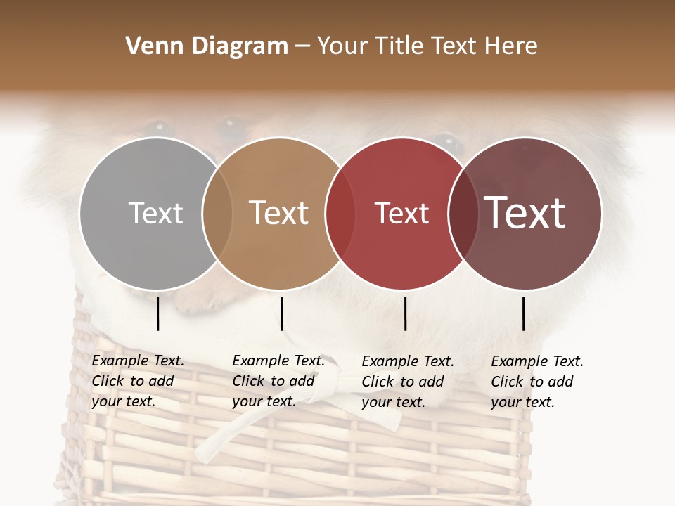 Domestic Handmade Fluffy PowerPoint Template