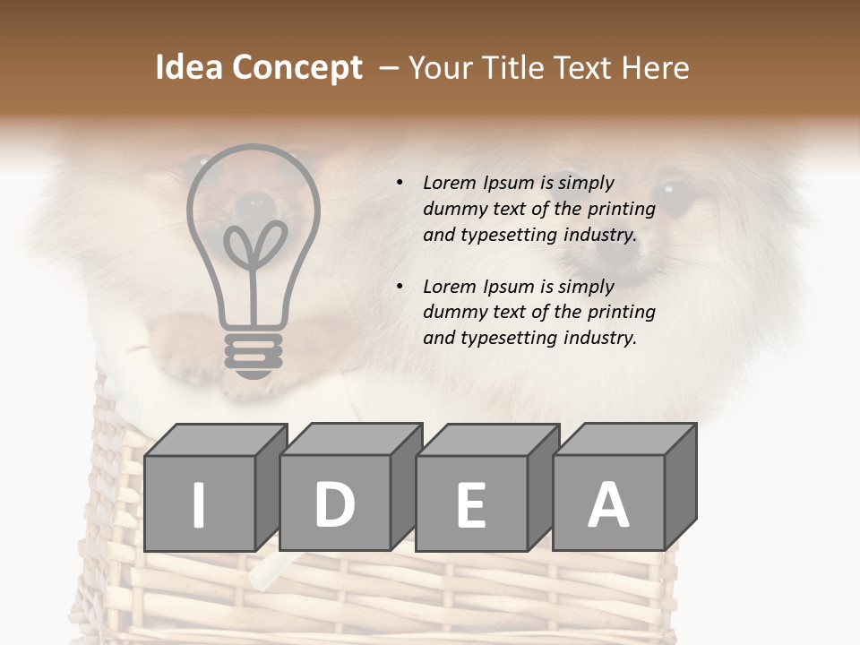 Domestic Handmade Fluffy PowerPoint Template