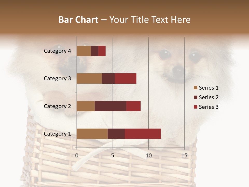 Domestic Handmade Fluffy PowerPoint Template