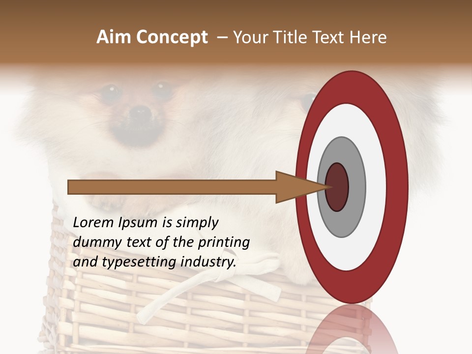 Domestic Handmade Fluffy PowerPoint Template