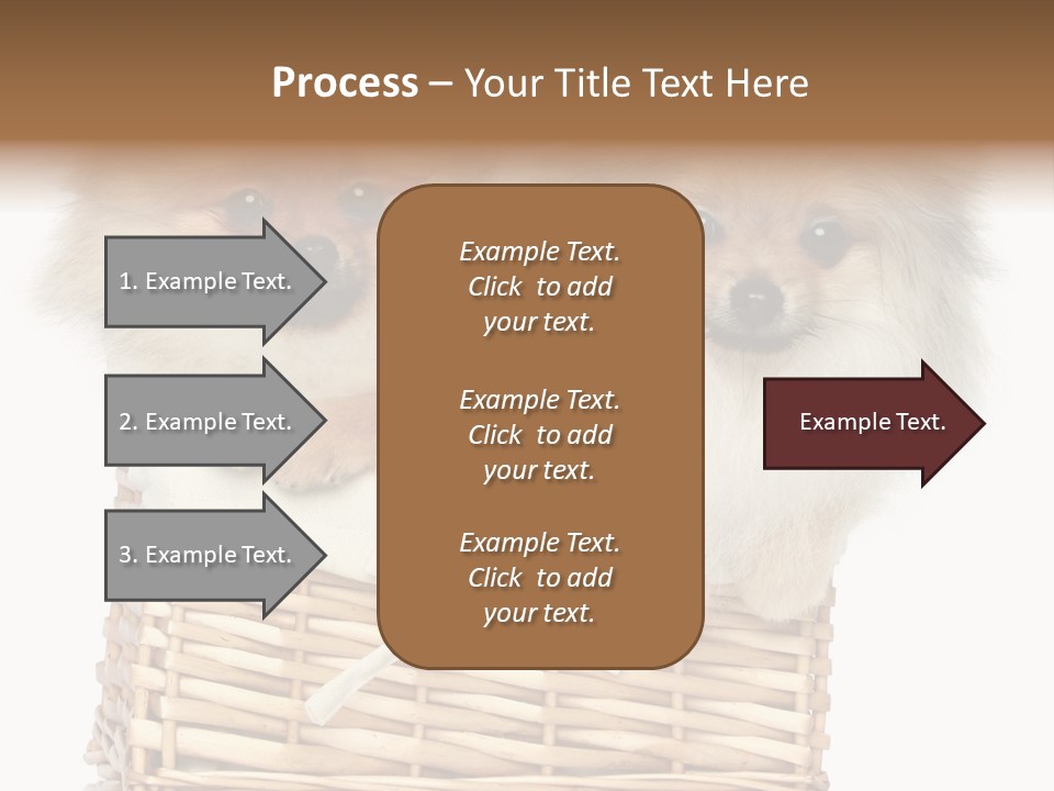Domestic Handmade Fluffy PowerPoint Template