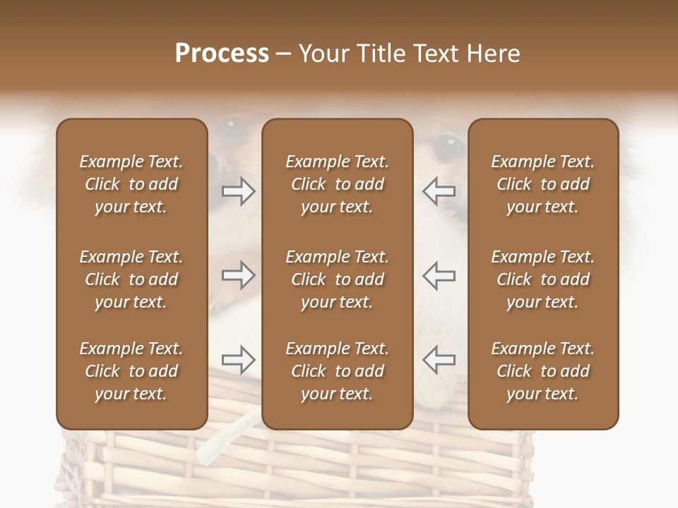 Domestic Handmade Fluffy PowerPoint Template