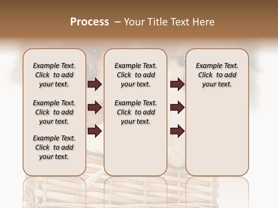 Domestic Handmade Fluffy PowerPoint Template