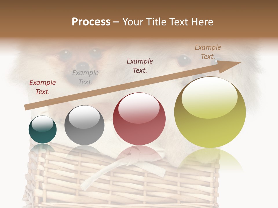 Domestic Handmade Fluffy PowerPoint Template