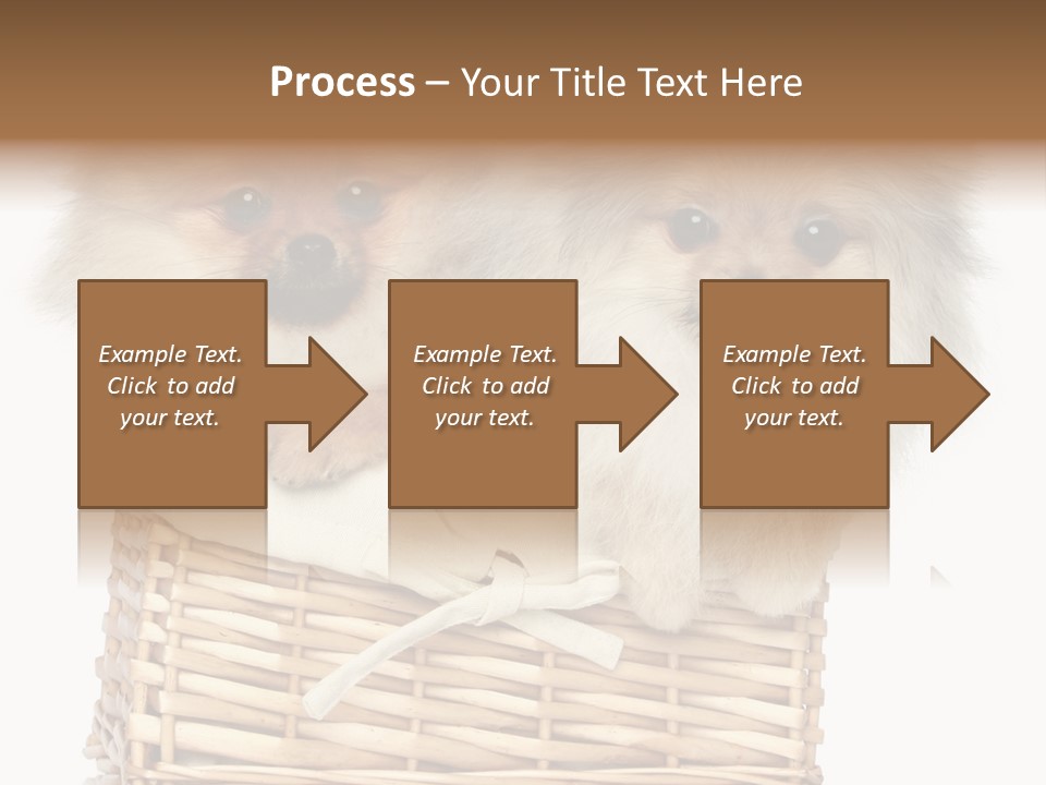 Domestic Handmade Fluffy PowerPoint Template