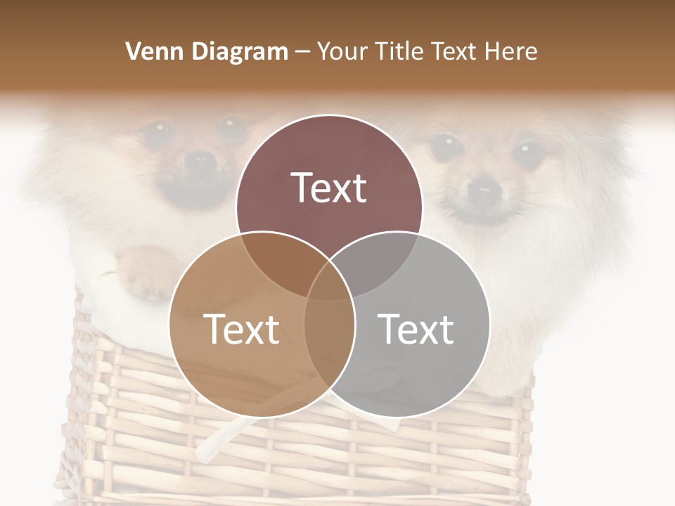 Domestic Handmade Fluffy PowerPoint Template