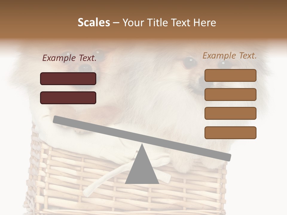 Domestic Handmade Fluffy PowerPoint Template