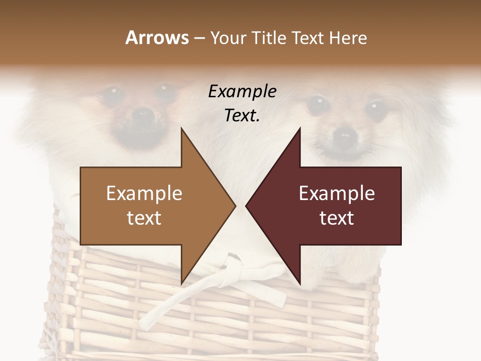 Domestic Handmade Fluffy PowerPoint Template