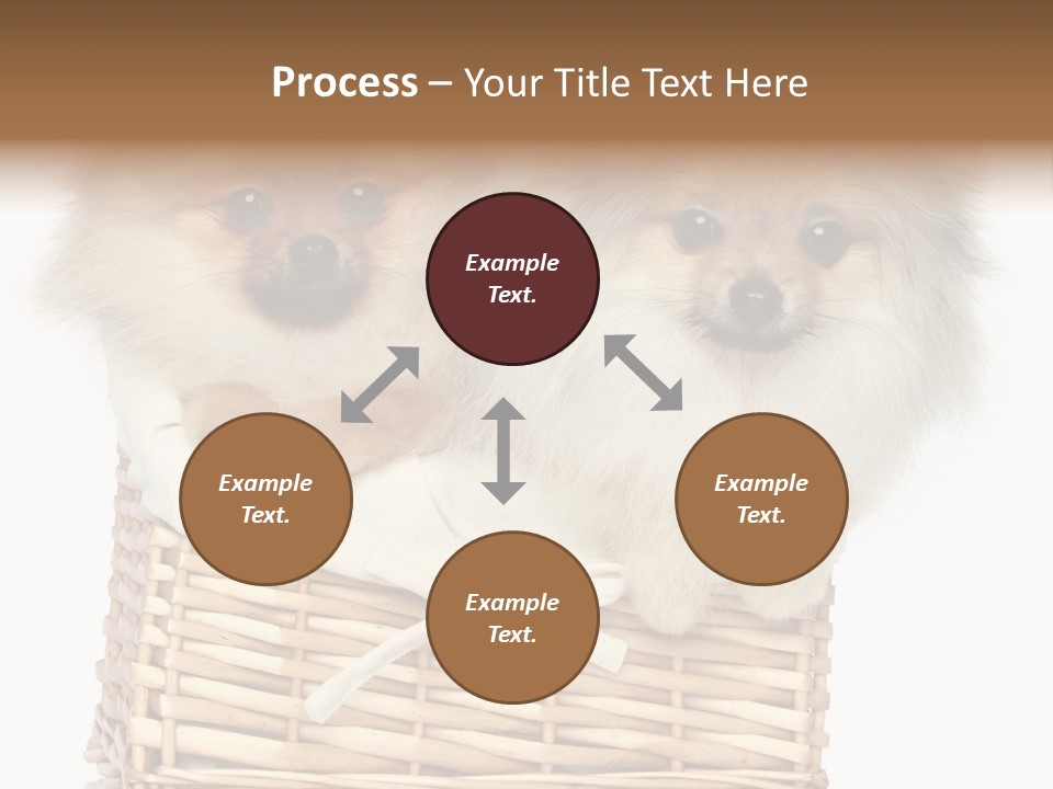 Domestic Handmade Fluffy PowerPoint Template