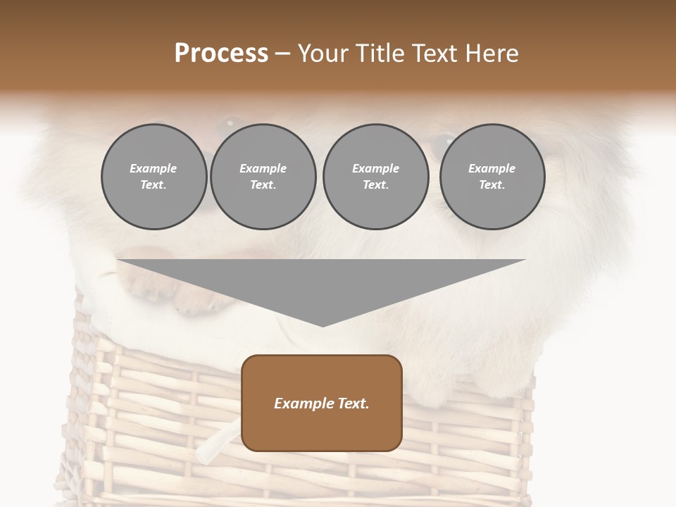 Domestic Handmade Fluffy PowerPoint Template