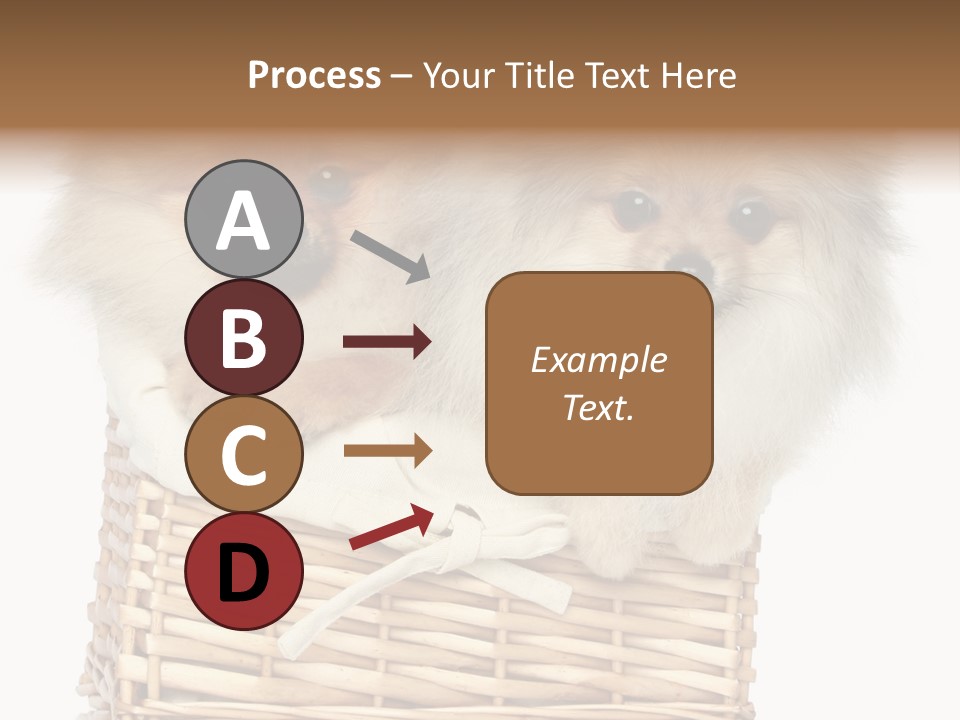 Domestic Handmade Fluffy PowerPoint Template