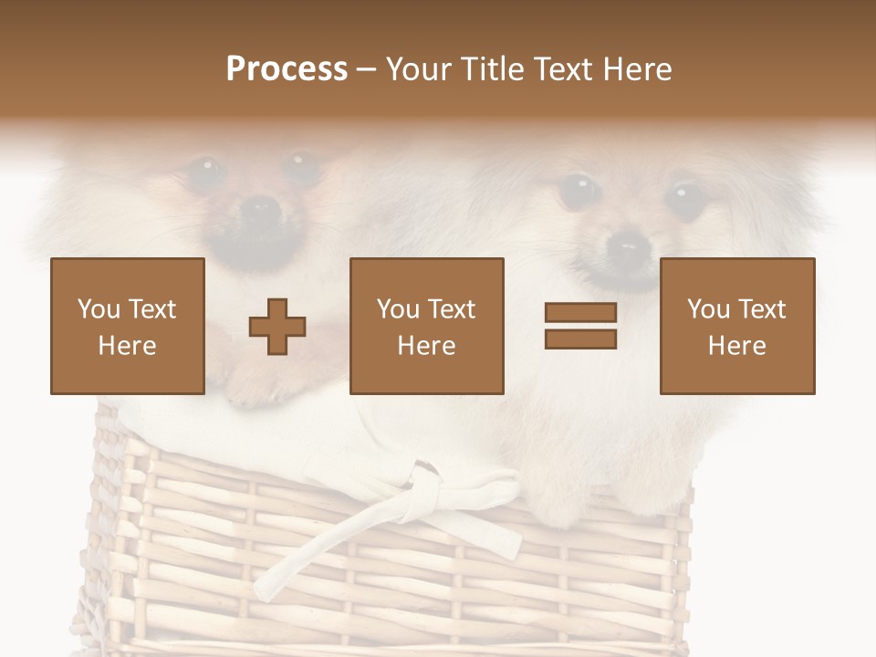 Domestic Handmade Fluffy PowerPoint Template