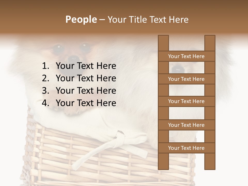Domestic Handmade Fluffy PowerPoint Template