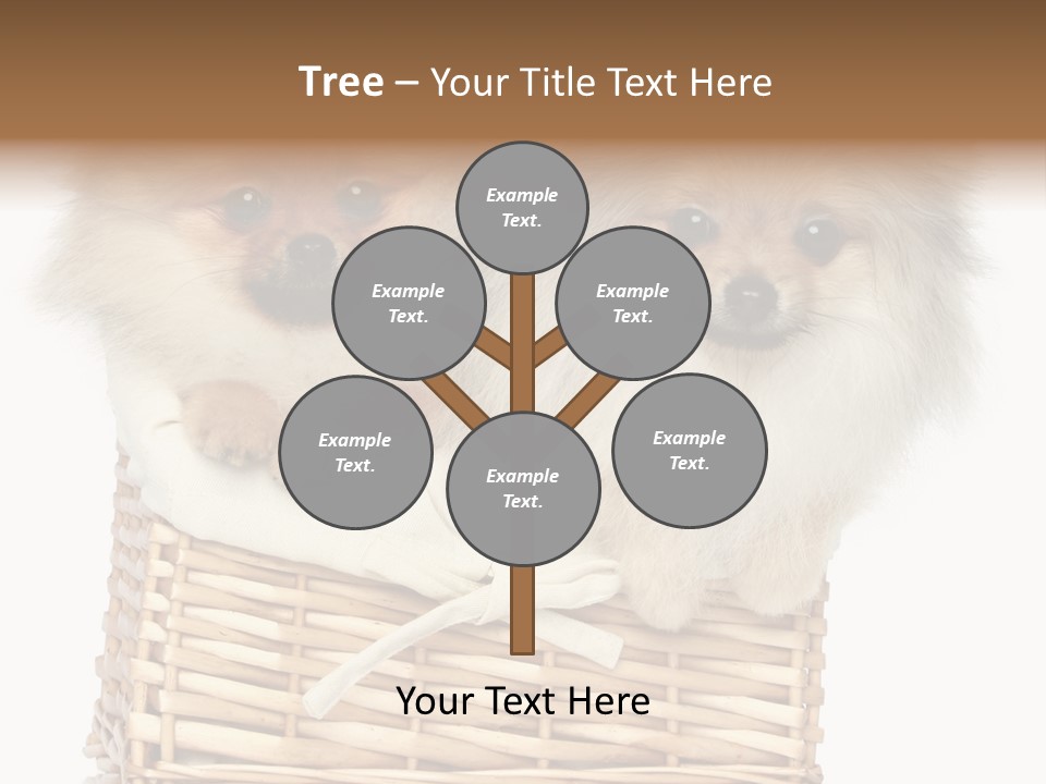 Domestic Handmade Fluffy PowerPoint Template