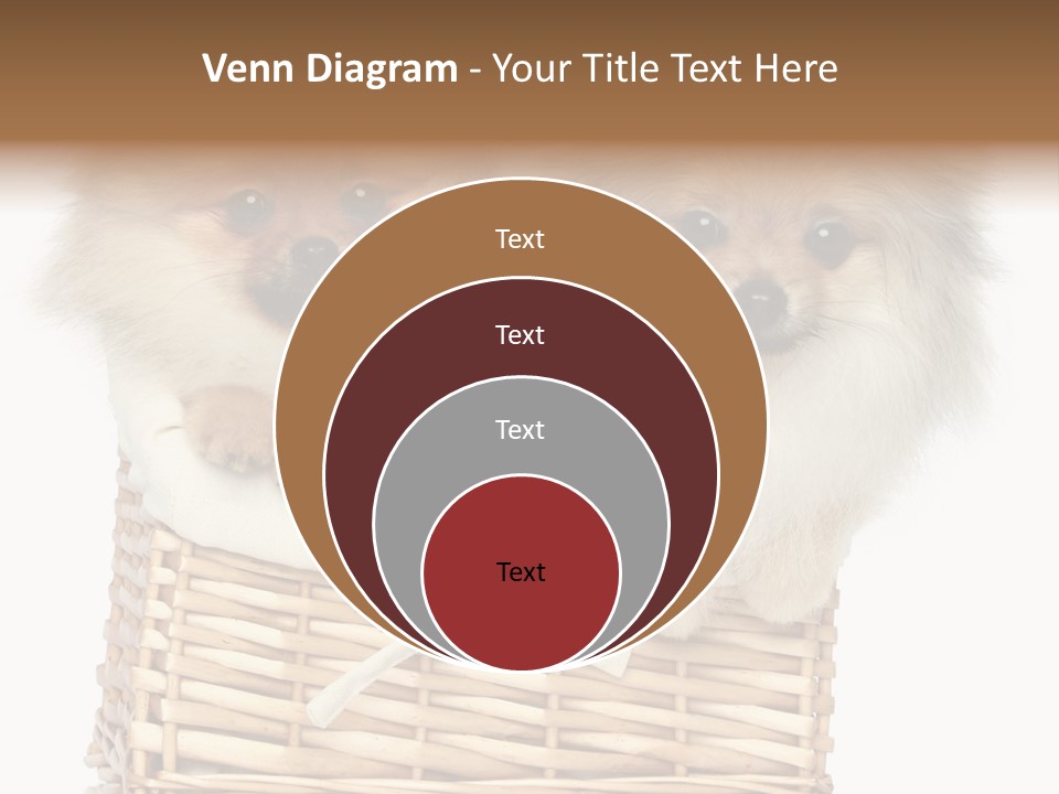 Domestic Handmade Fluffy PowerPoint Template