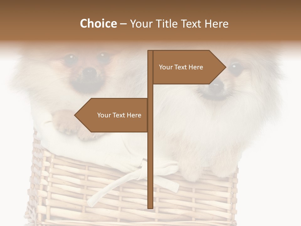 Domestic Handmade Fluffy PowerPoint Template