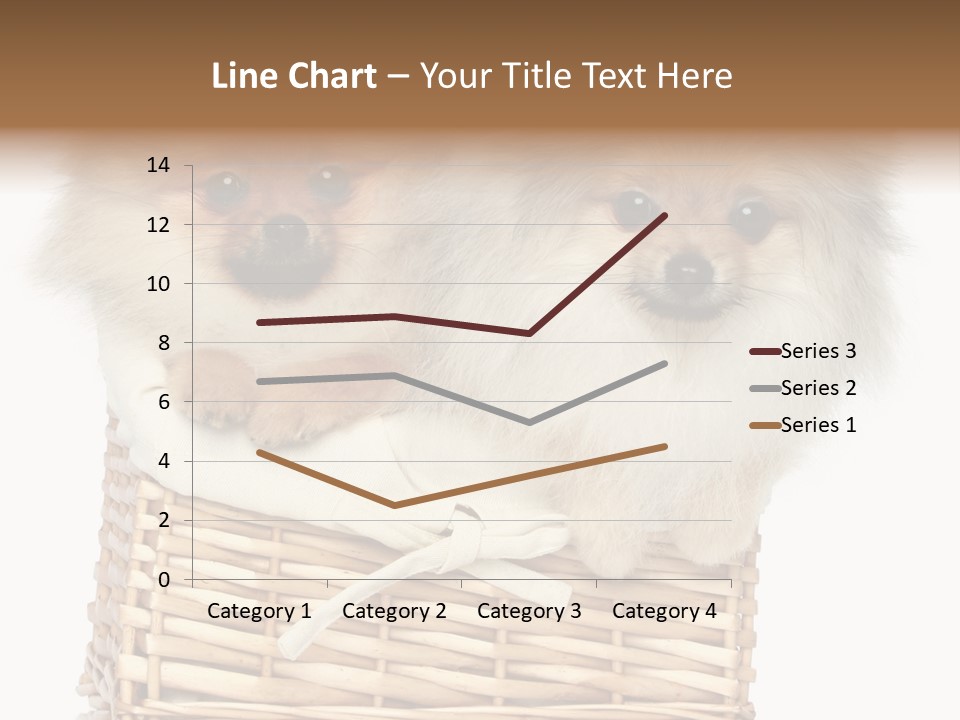 Domestic Handmade Fluffy PowerPoint Template