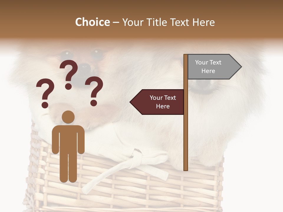 Domestic Handmade Fluffy PowerPoint Template