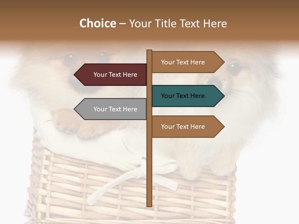 Domestic Handmade Fluffy PowerPoint Template