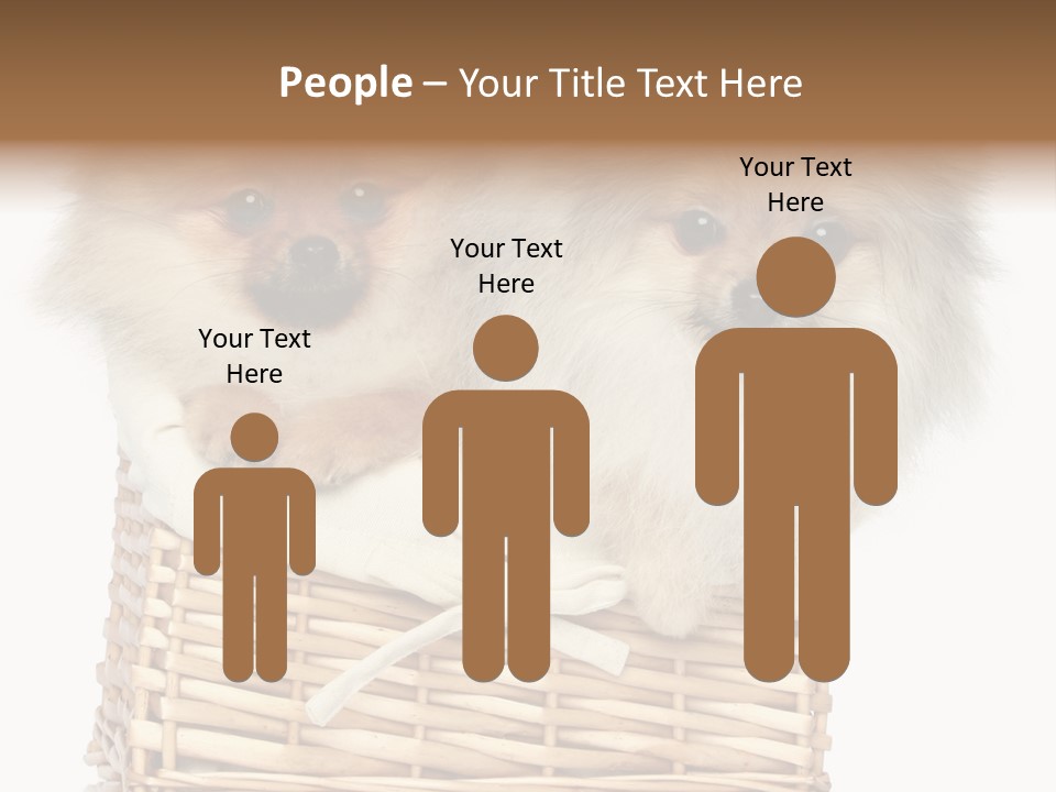 Domestic Handmade Fluffy PowerPoint Template