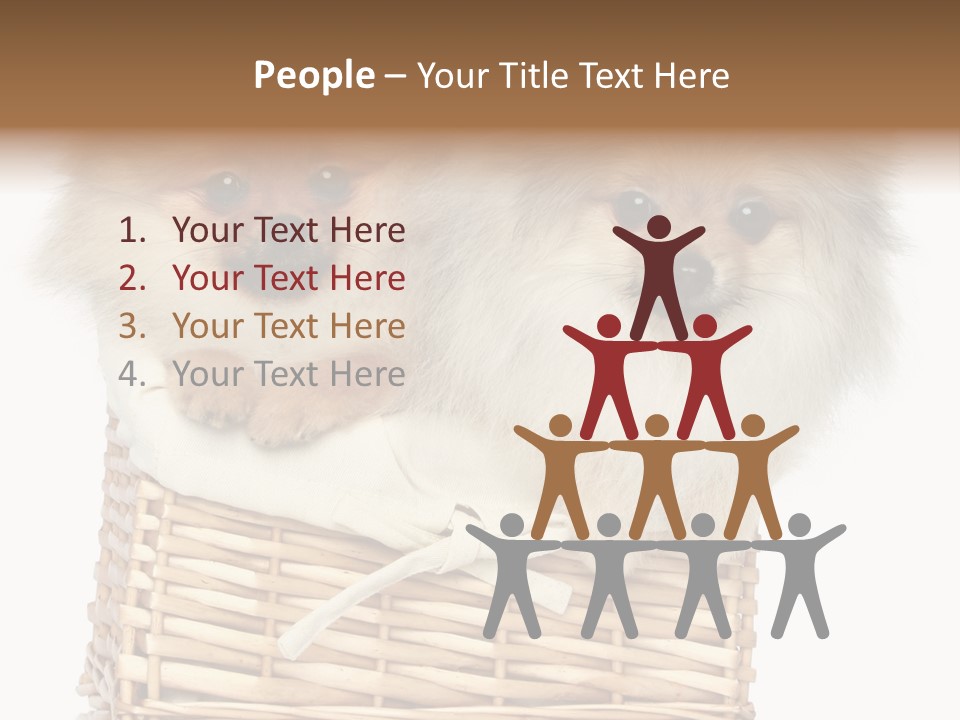 Domestic Handmade Fluffy PowerPoint Template