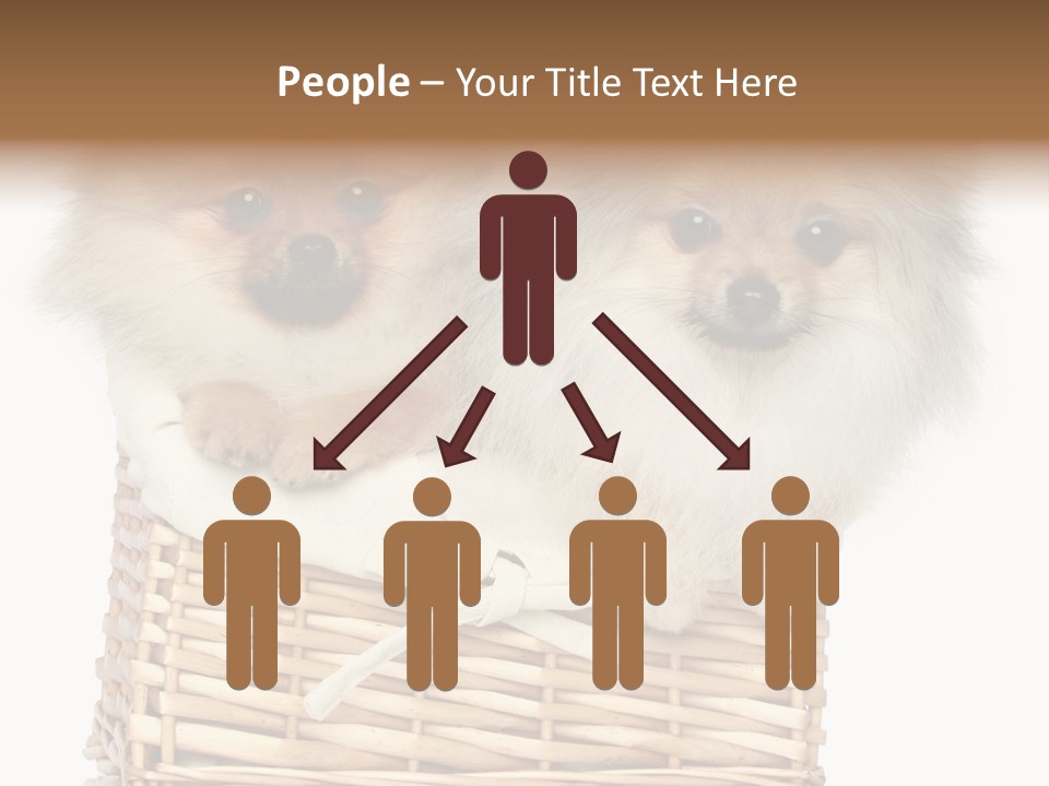 Domestic Handmade Fluffy PowerPoint Template