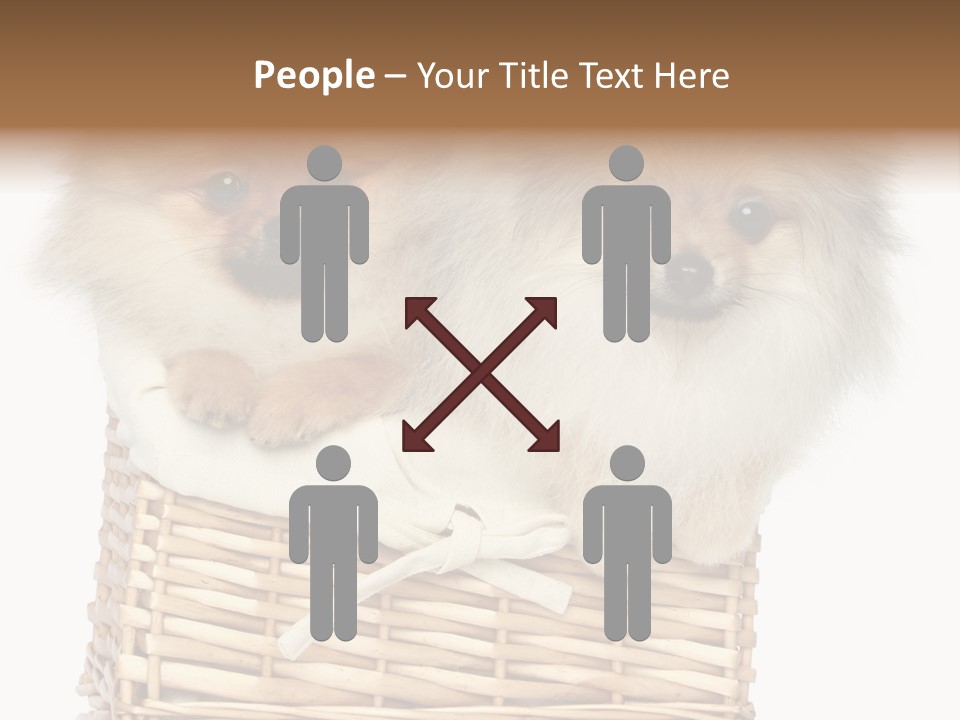 Domestic Handmade Fluffy PowerPoint Template