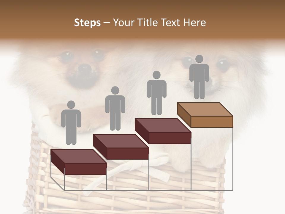 Domestic Handmade Fluffy PowerPoint Template