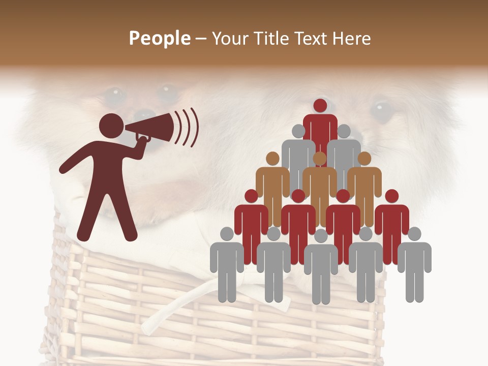 Domestic Handmade Fluffy PowerPoint Template