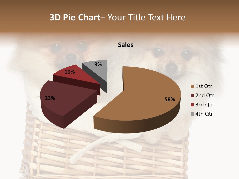 Domestic Handmade Fluffy PowerPoint Template