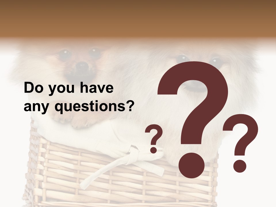 Domestic Handmade Fluffy PowerPoint Template