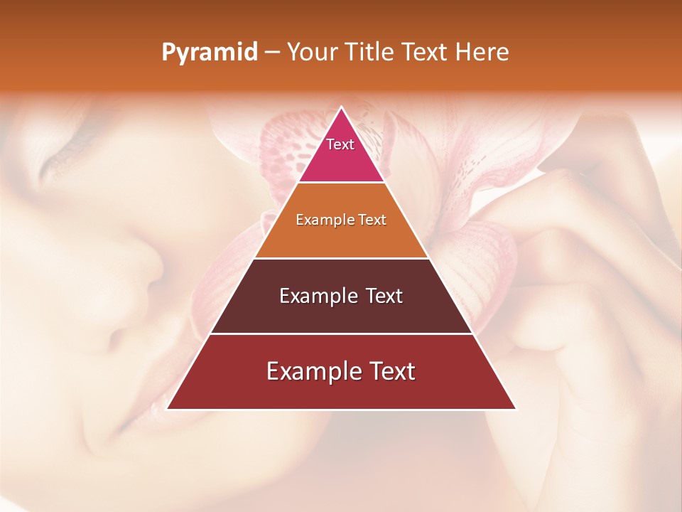 Writing Di Cu Ion Profe Ional PowerPoint Template