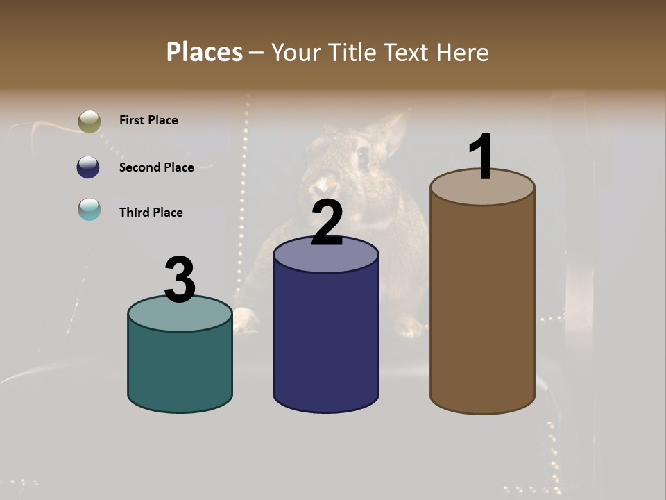 Wildlife Indoors Rabbit PowerPoint Template