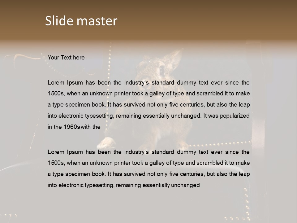 Wildlife Indoors Rabbit PowerPoint Template