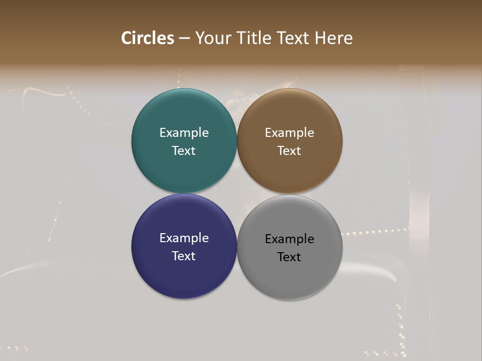 Wildlife Indoors Rabbit PowerPoint Template