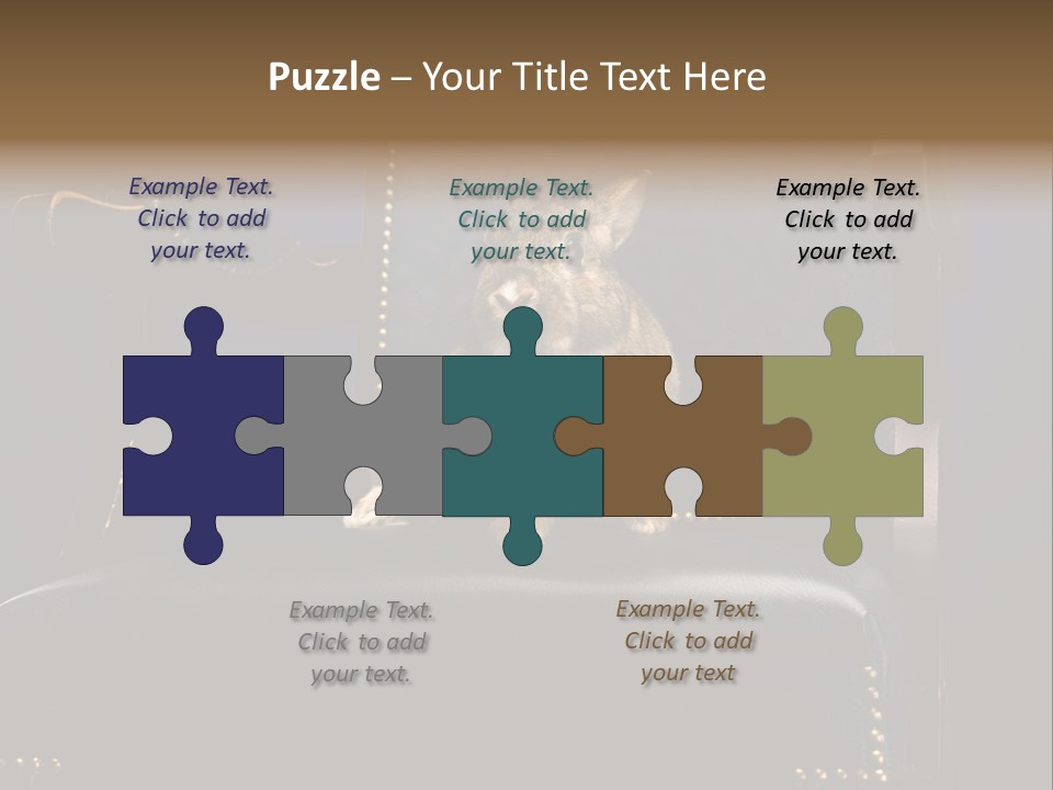 Wildlife Indoors Rabbit PowerPoint Template