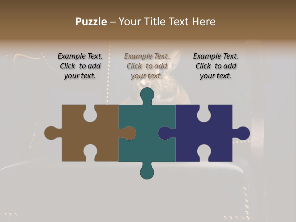 Wildlife Indoors Rabbit PowerPoint Template