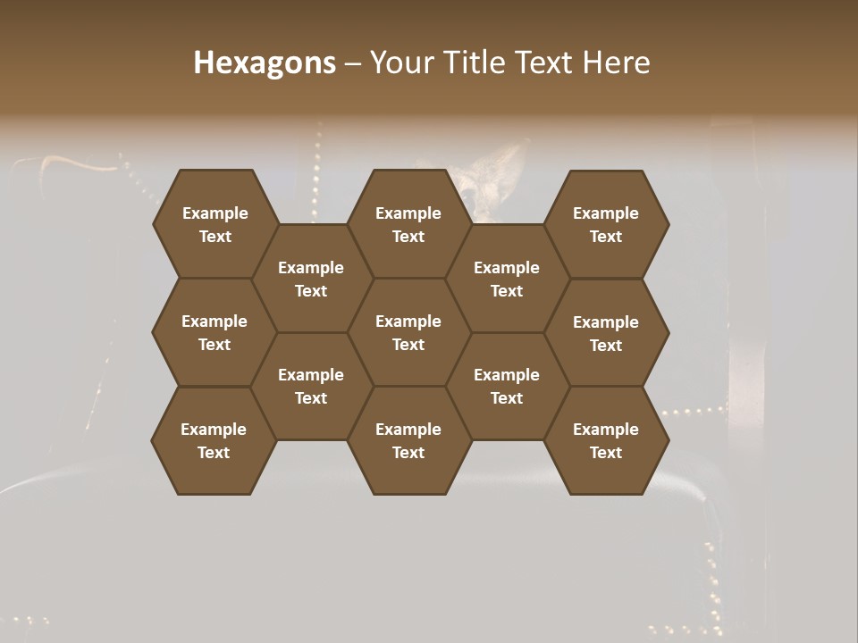 Wildlife Indoors Rabbit PowerPoint Template