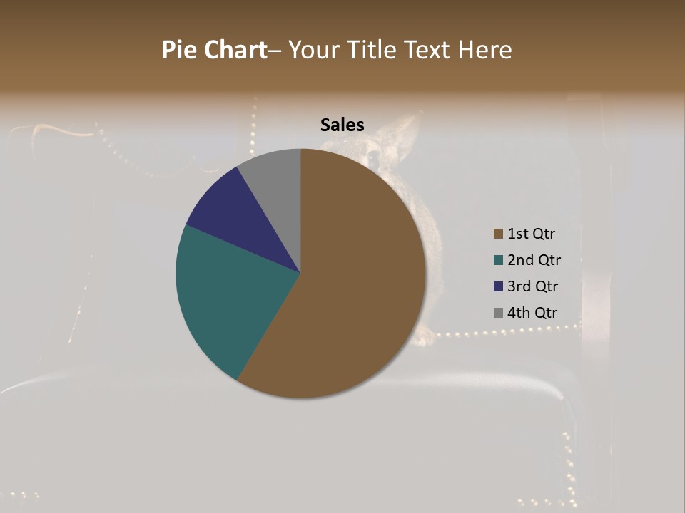 Wildlife Indoors Rabbit PowerPoint Template