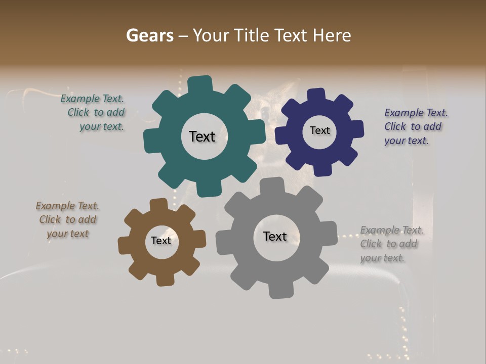 Wildlife Indoors Rabbit PowerPoint Template