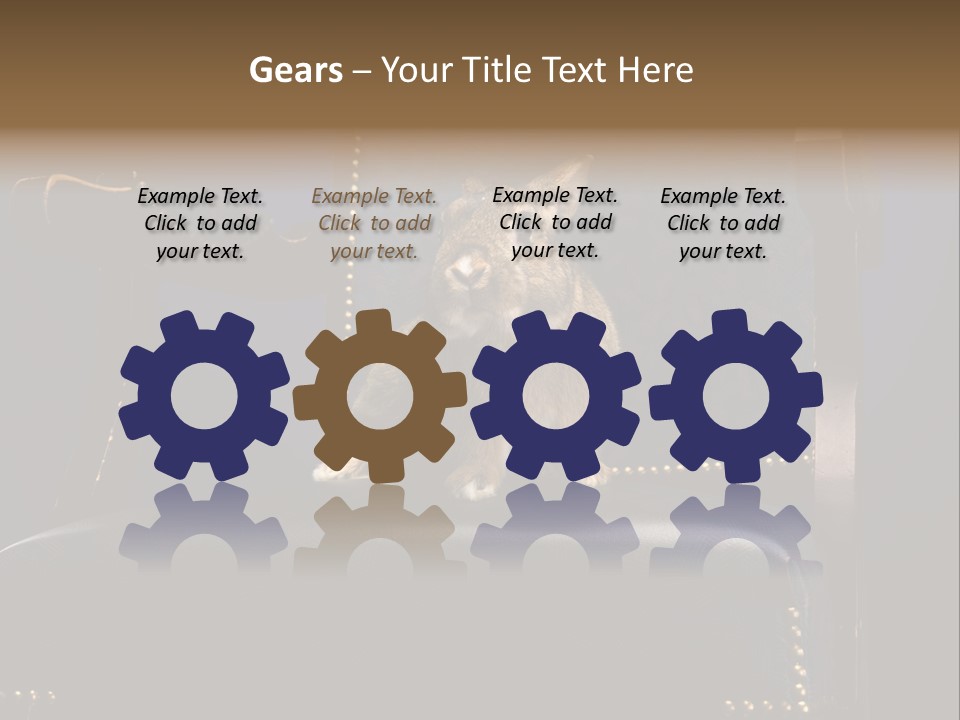 Wildlife Indoors Rabbit PowerPoint Template